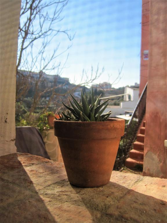 La Casina De Piedra Encanto - Parte Antigua De *